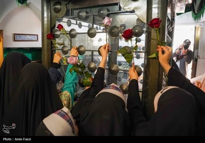 شادپیمایی دختران احمدی در شیراز برگزار شد