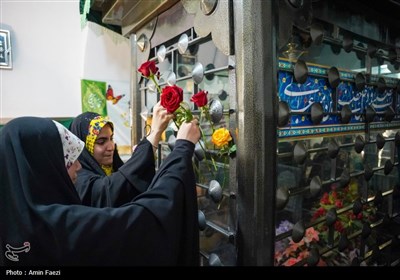 شادپیمایی دختران احمدی در شیراز برگزار شد