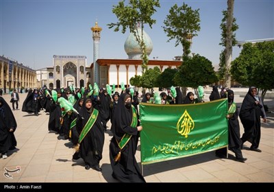 شادپیمایی دختران احمدی در شیراز برگزار شد