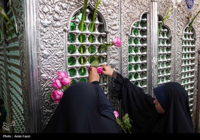شادپیمایی دختران احمدی در شیراز برگزار شد