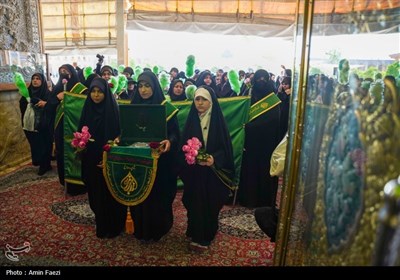 شادپیمایی دختران احمدی در شیراز برگزار شد