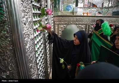 شادپیمایی دختران احمدی در شیراز برگزار شد