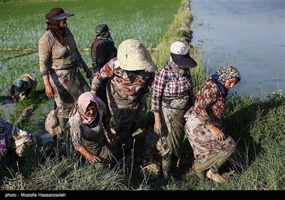 روز کارگر
