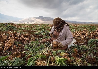 روز کارگر