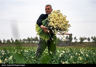 روز کارگر