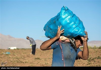 روز کارگر