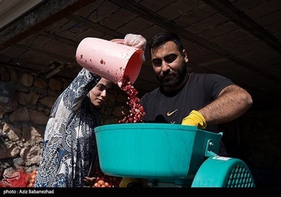 روز کارگر