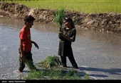 روز کارگر