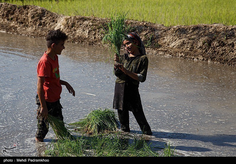 روز کارگر
