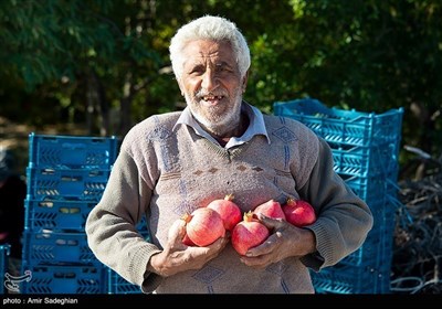 روز کارگر