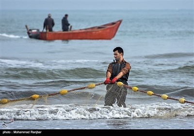 روز کارگر