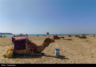 به مناسبت روز خلیج فارس