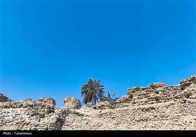 به مناسبت روز خلیج فارس