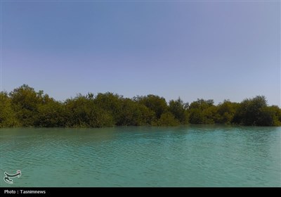 به مناسبت روز خلیج فارس