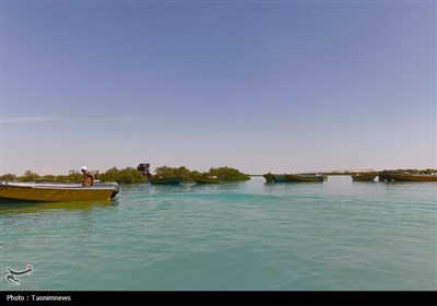 به مناسبت روز خلیج فارس