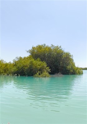به مناسبت روز خلیج فارس