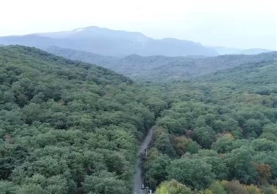 صیانت از جنگل « النگدره» گرگان توسط دستگاه قضایی
