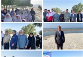 کاشت نهال در ساحل کنگان به مناسبت روز ملی خلیج فارس