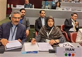 نشست اعضای کنوانسیونهای محیط زیستی با حضور نمایندگان ایران