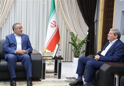 بهزيستي،خراسان،جنوبي،كشور،نفر،سازمان،سالمندان،تامين،استان،رئ ...