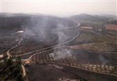 Israeli Regime Scrambles for Aid as Fires Consume Stolen Land