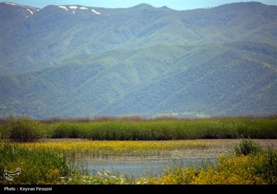 شهرستان مریوان در استان کردستان، در ۴۶۳ کیلومتری غرب تهران و ۷۸ کیلومتری غرب شمالی سنندج قرار دارد و به عنوان پایتخت تئاتر خیابانی جهان و شهر جهانی کلاش (گیوه کُردی) شناخته می‌شود.