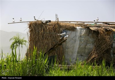 سومین تور رسانه ای آشنایی با شهرستان مریوان - سنندج