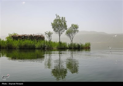 شهرستان مریوان در استان کردستان، در ۴۶۳ کیلومتری غرب تهران و ۷۸ کیلومتری غرب شمالی سنندج قرار دارد و به عنوان پایتخت تئاتر خیابانی جهان و شهر جهانی کلاش (گیوه کُردی) شناخته می‌شود.