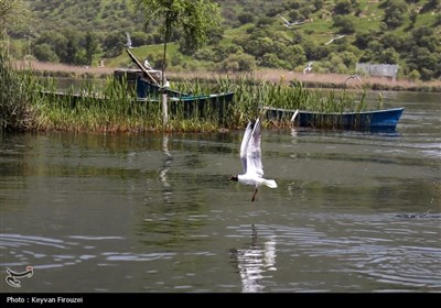 سومین تور رسانه ای آشنایی با شهرستان مریوان - سنندج