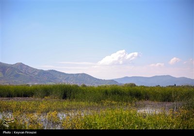 شهرستان مریوان در استان کردستان، در ۴۶۳ کیلومتری غرب تهران و ۷۸ کیلومتری غرب شمالی سنندج قرار دارد و به عنوان پایتخت تئاتر خیابانی جهان و شهر جهانی کلاش (گیوه کُردی) شناخته می‌شود.