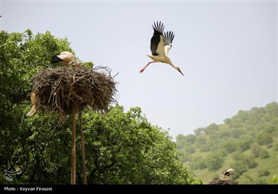 سومین تور رسانه ای آشنایی با شهرستان مریوان - سنندج