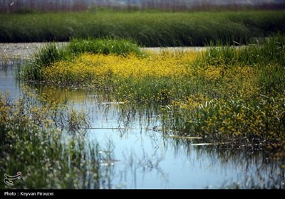 سومین تور رسانه ای آشنایی با شهرستان مریوان - سنندج
