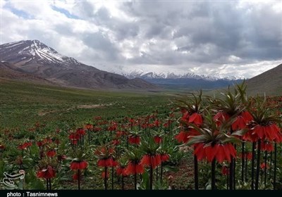واژگون،اليگودرز،كوه،باد،خاك،زمين،اشترانكوه،نمناك،ابر