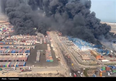 كانتينر،كشور،بندر،گوشت،برزيل،دامپزشكي،23،صادرات،سازمان