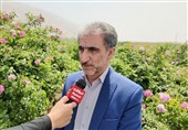 رشد تولید گندم و کلزا در سایه تحقیقات و فناوری‌های نوین