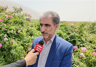 رشد تولید گندم و کلزا در سایه تحقیقات و فناوریهای نوین