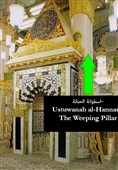 &quot;حنانه&quot;؛ درختی که در فراق پیامبر شیون کرد
