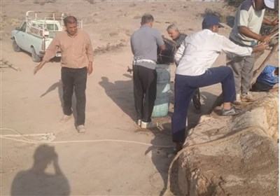 فلسطين،اختري،ملت،اشاره،ايستادگي،جنايات،نجات،مقاومت،قرآن،رژيم