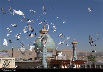 شاهچراغ (ع)، نگین سومین حرم اهل بیت (ع)