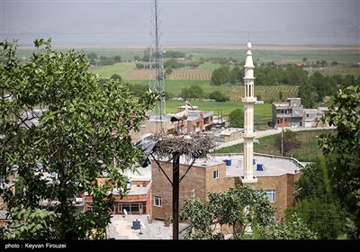 ساکنان روستا با ساخت آشیانه‌های ایمن روی درختان بلوط از لک‌لک‌ها حمایت می‌کنند تا از مرگ‌ومیر پرندگان به دلیل برق‌گرفتگی یا افتادن جوجه‌ها جلوگیری شود که نشان‌دهنده تعهد فرهنگی و زیست‌محیطی آن‌هاست.