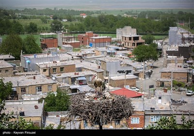 ساکنان روستا با ساخت آشیانه‌های ایمن روی درختان بلوط از لک‌لک‌ها حمایت می‌کنند تا از مرگ‌ومیر پرندگان به دلیل برق‌گرفتگی یا افتادن جوجه‌ها جلوگیری شود که نشان‌دهنده تعهد فرهنگی و زیست‌محیطی آن‌هاست.