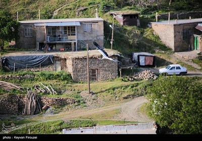 همزیستی لک‌لک‌ها و انسان در روستای دره‌تفی - کردستان