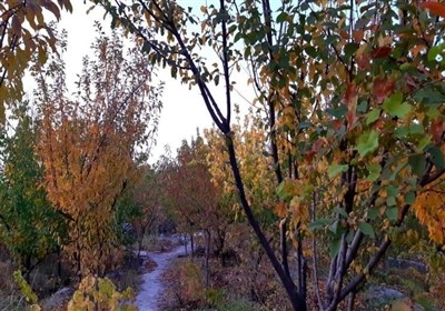 ويلا،شهريار،امكانات،تهران،كردان،رزرو،اقامت،اجاره،ويلاها،ويلا ...