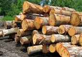 کشف 22 تن چوب قاچاق در آوج