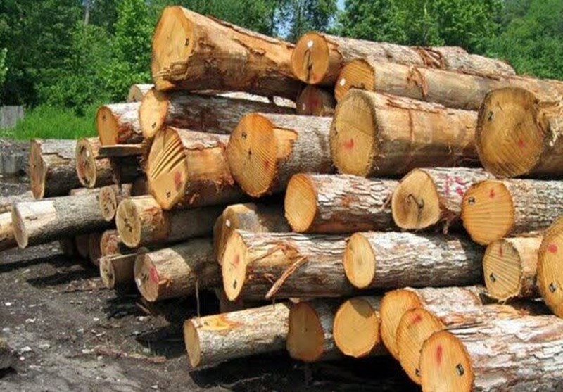 کشف ۲۲ تن چوب قاچاق در آوج