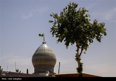 ششم ذی القعده روز بزرگداشت حضرت شاهچراغ (ع)