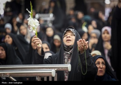 ششم ذی القعده روز بزرگداشت حضرت شاهچراغ (ع)