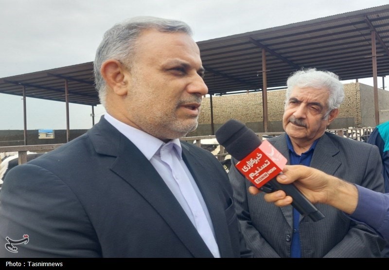 کمبود نهاده‌های دامی مانع بزرگ تولید در دامداری در بهارستان