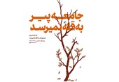 نگاهی به دلایل تأکید رهبر انقلاب بر جوانی جمعیت