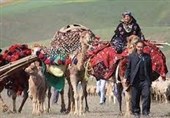 آلاچیق و کوچ برتر عشایری انتخاب میشوند